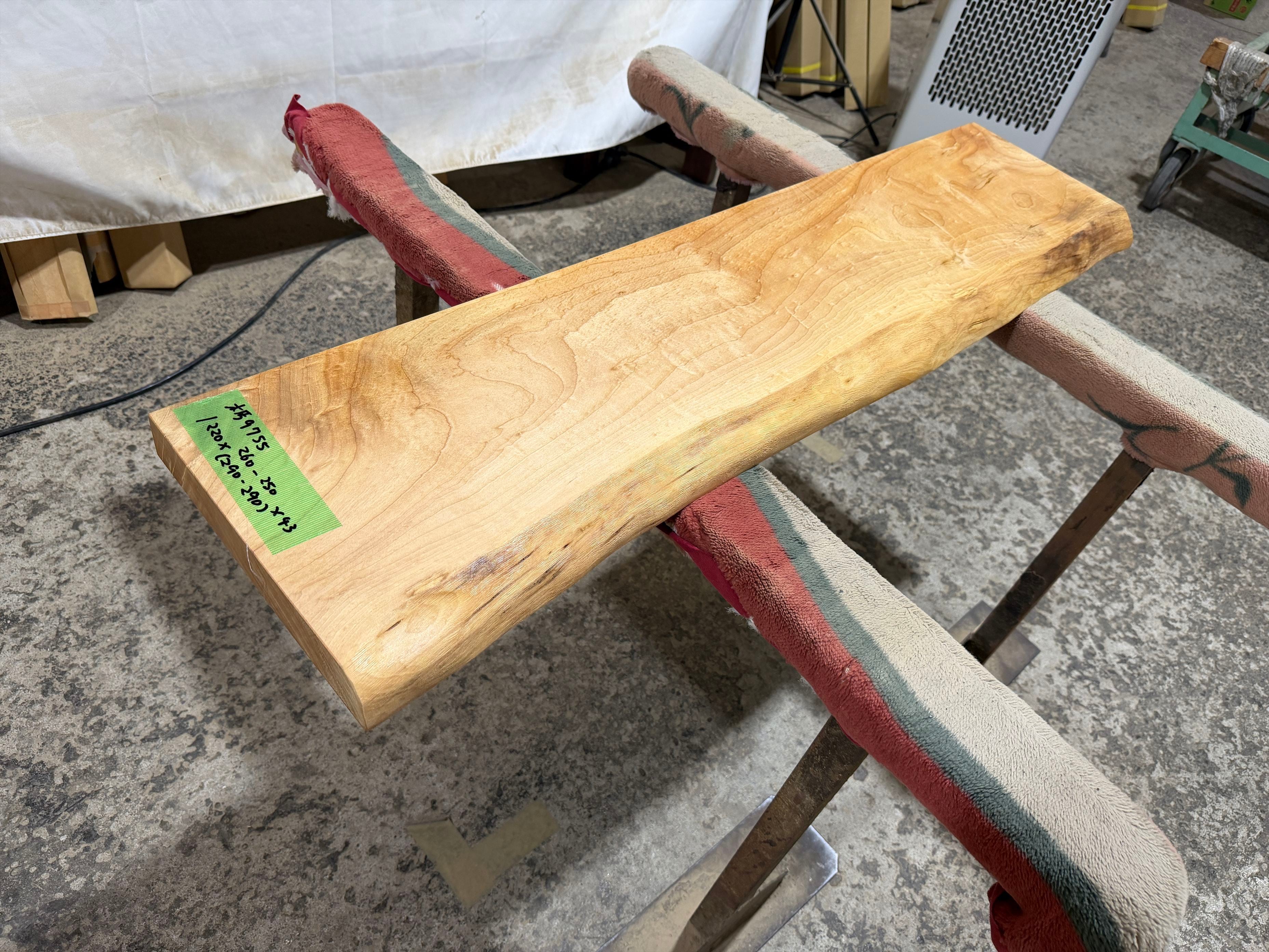 トチ9755 トチの木 一枚板無垢 乾燥材 1220x260-250x43mm テーブル 棚 テレビ台 カウンター センターテーブル 窓台 橡 栃