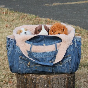 デハロナキャリーバッグ（Ｌ）メッシュ無し　OMO-DHRN-3010