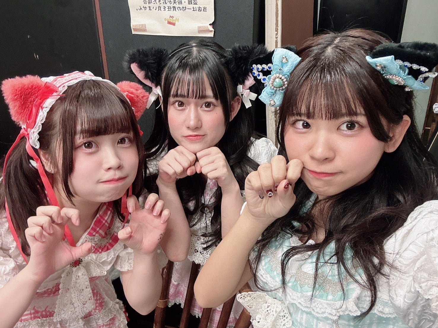 10枚限定】電脳にゃんぱしー猫耳チェキ | Project-L OFFICIAL WEB SHOP