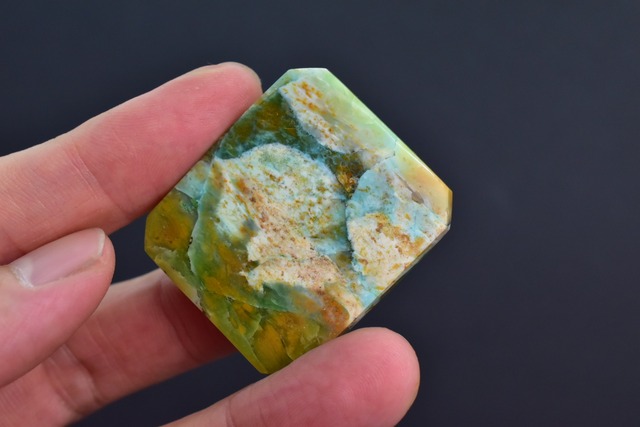 Blue Opalized Petrified wood