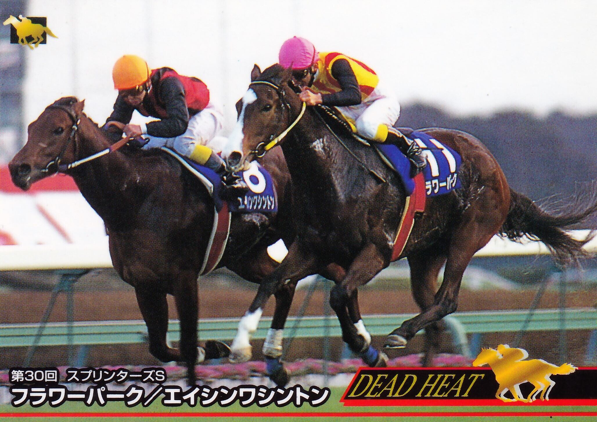 フラワーパーク　スプリンターズS 第30回(1996年) スプリンターズステークス | 岡田修平のアノ瞬間 | UMATO