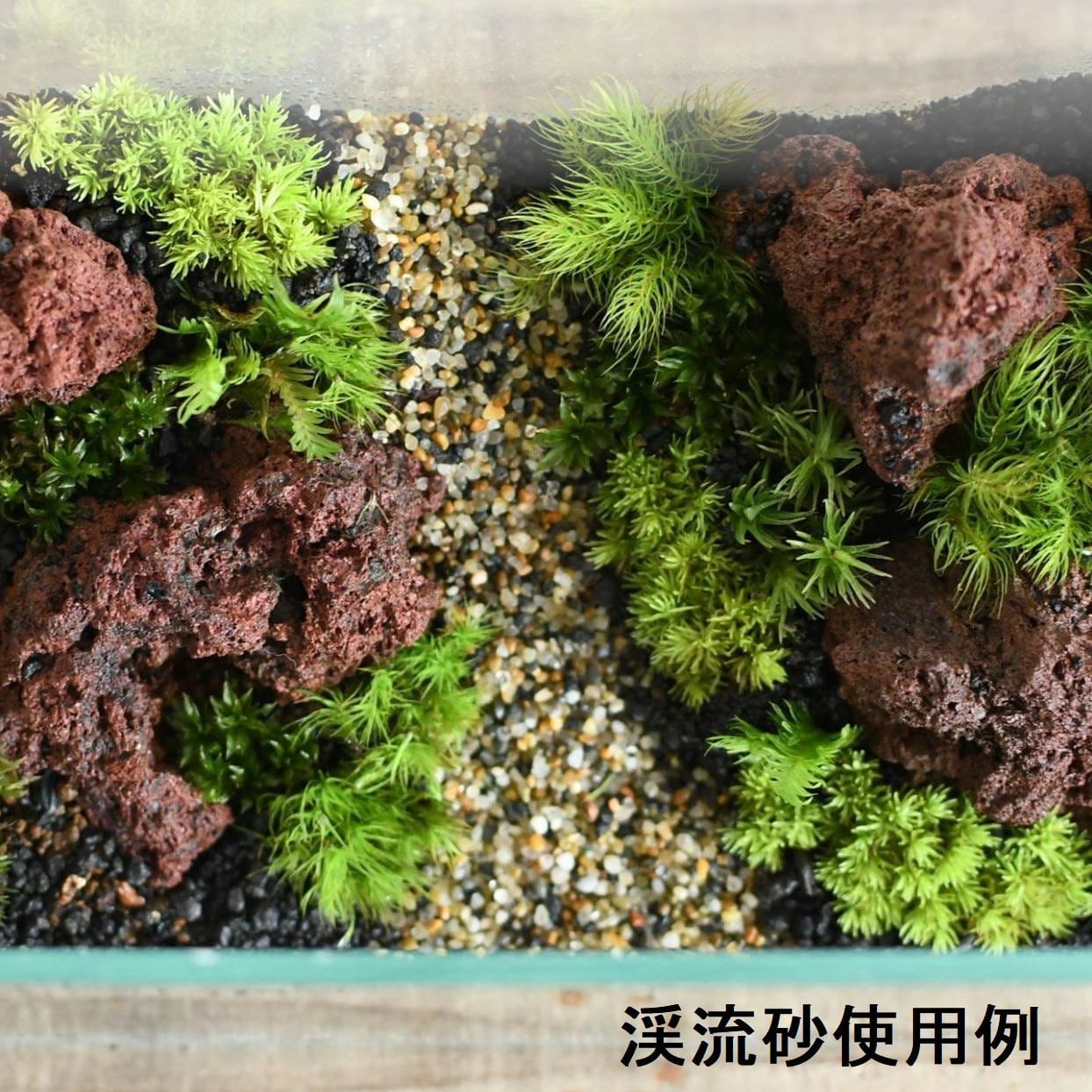 渓流砂（極細粒 1〜3mm）100ml入り【レイアウト用】 | 苔
