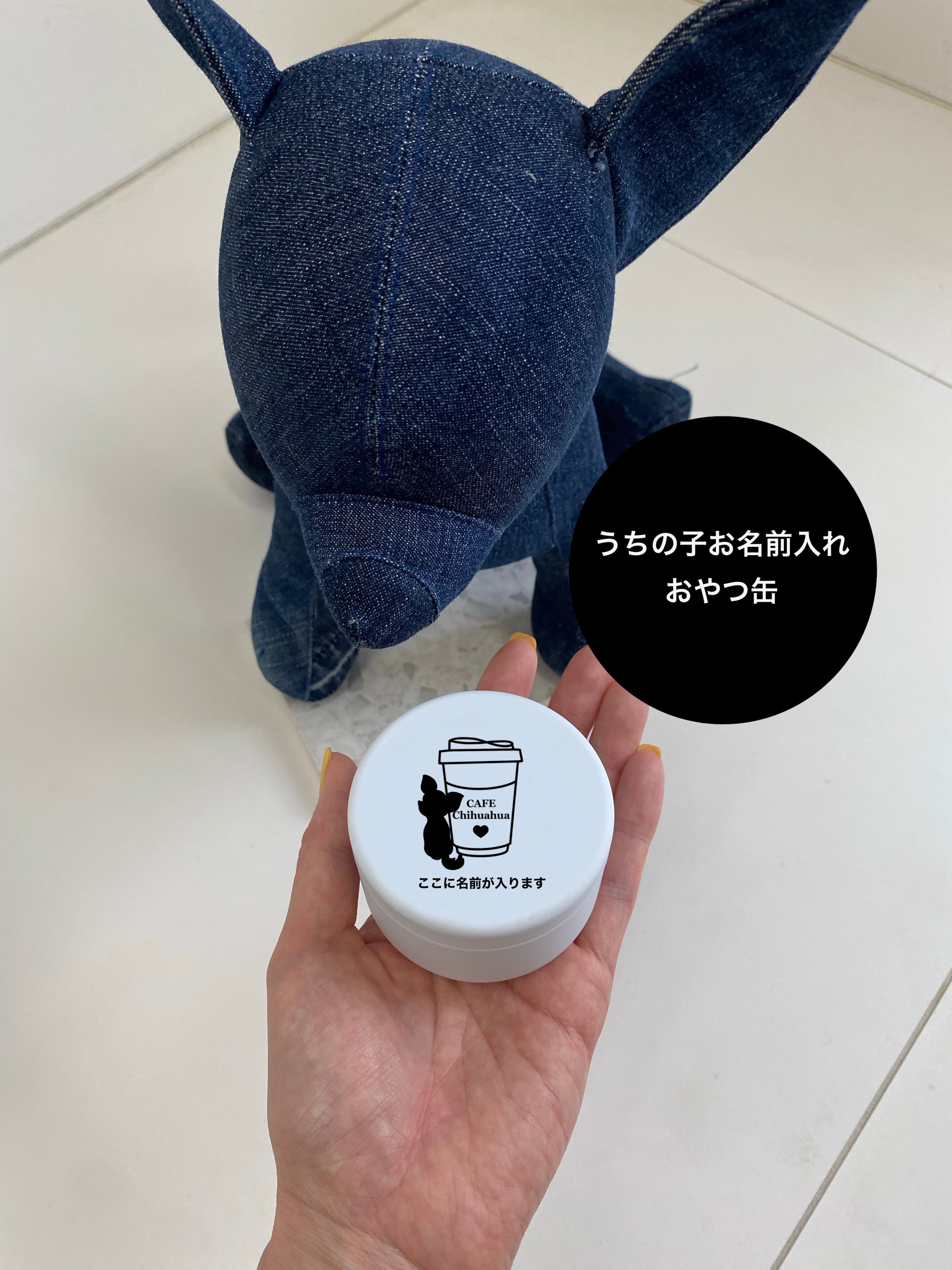チワワ | JuetraLis