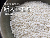 2025年産【新大正もち 5kg　白米】奥能登・珠洲育ち