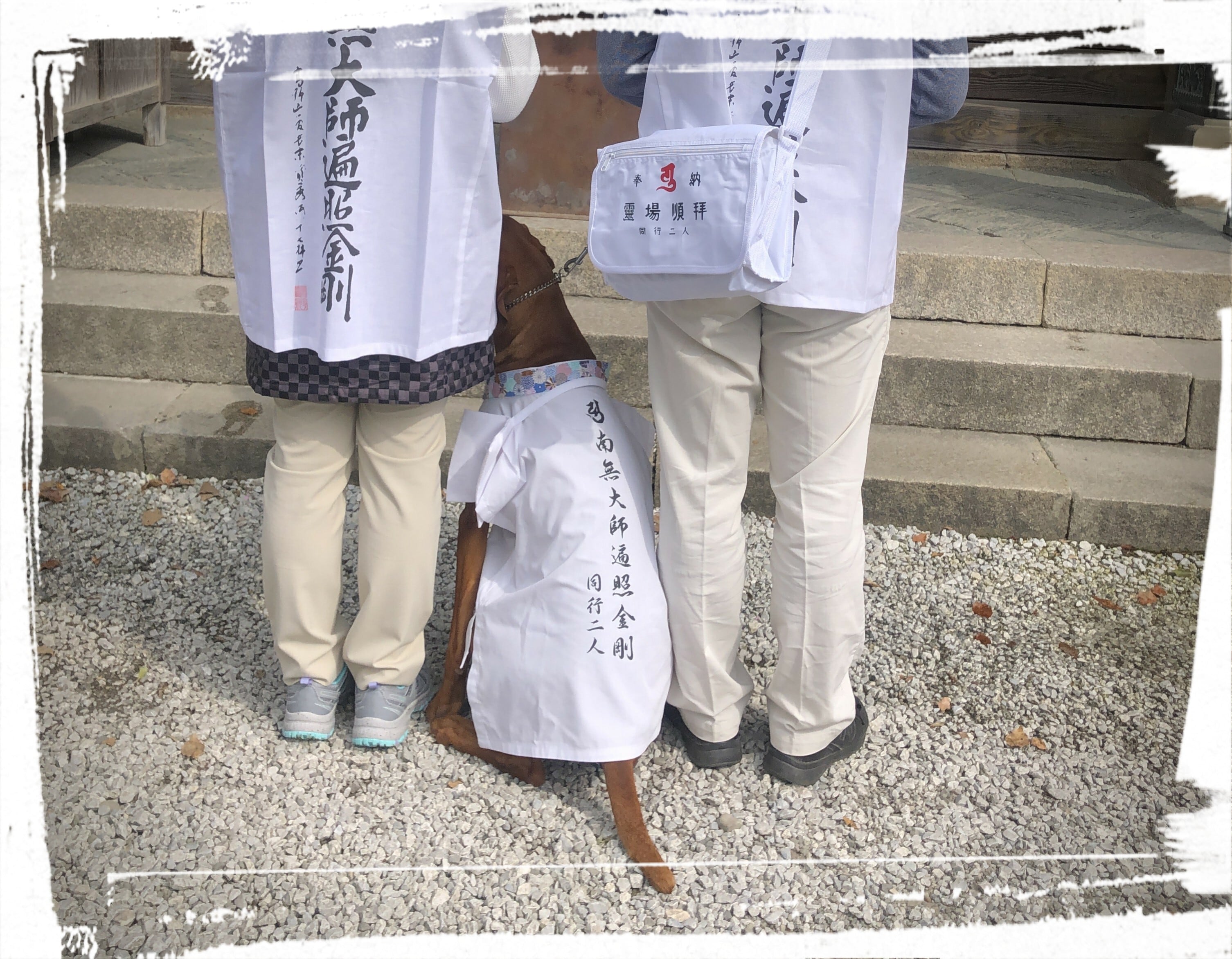 おっきいわんちゃん用 ペット用お遍路白衣 巡礼白衣 輪袈裟付き 3点