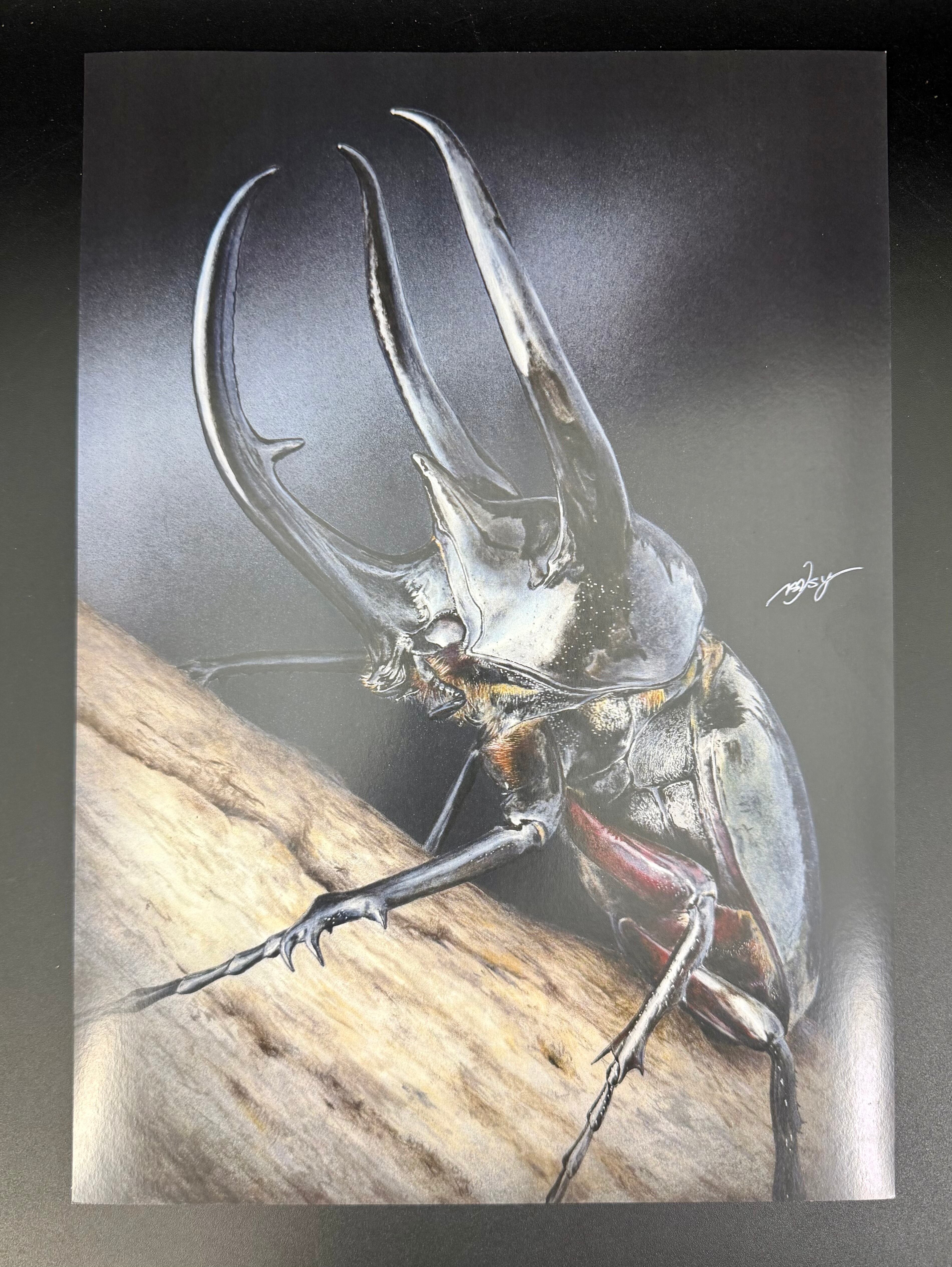 色鉛筆画 1枚 コーカサスオオカブト2【複製画】 | KPW BASE店