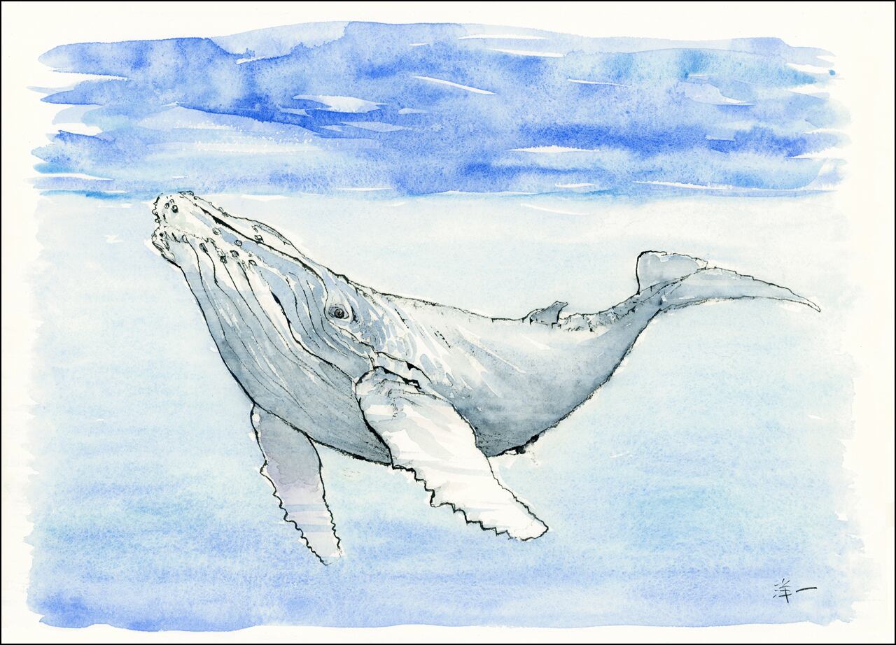 ギリシャ、サントリーニ島イアの町並み | 中村洋一葦ペン画