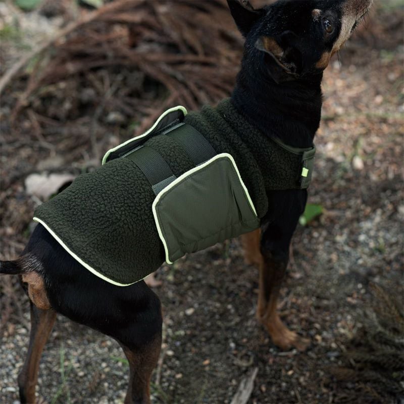 アルファアイコン エアライナーCOSMIC サイズM【限定品 試着のみ