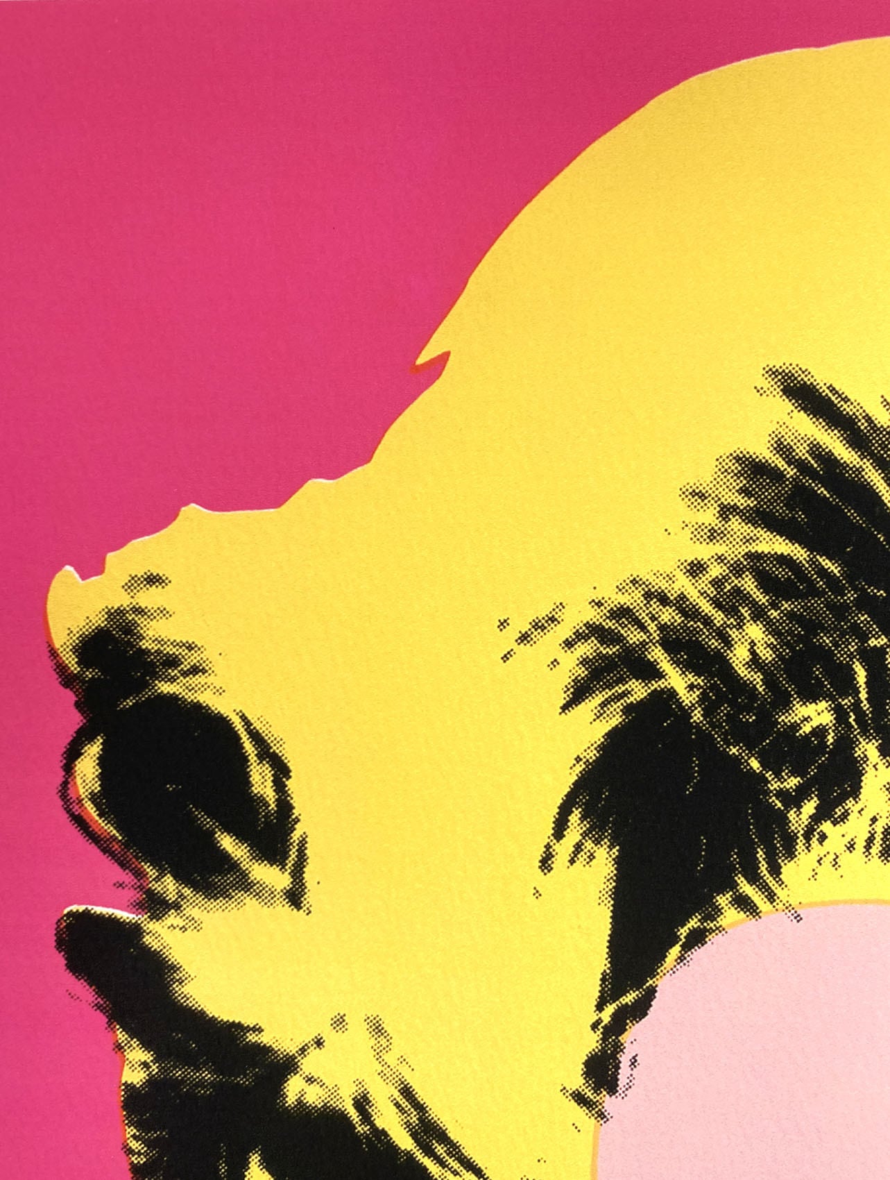 アンディ・ウォーホル「マリリン・モンロー(ホットピンク)1967」展示用フック付大型サイズジークレ ポップアート 絵画 Andy Warhol