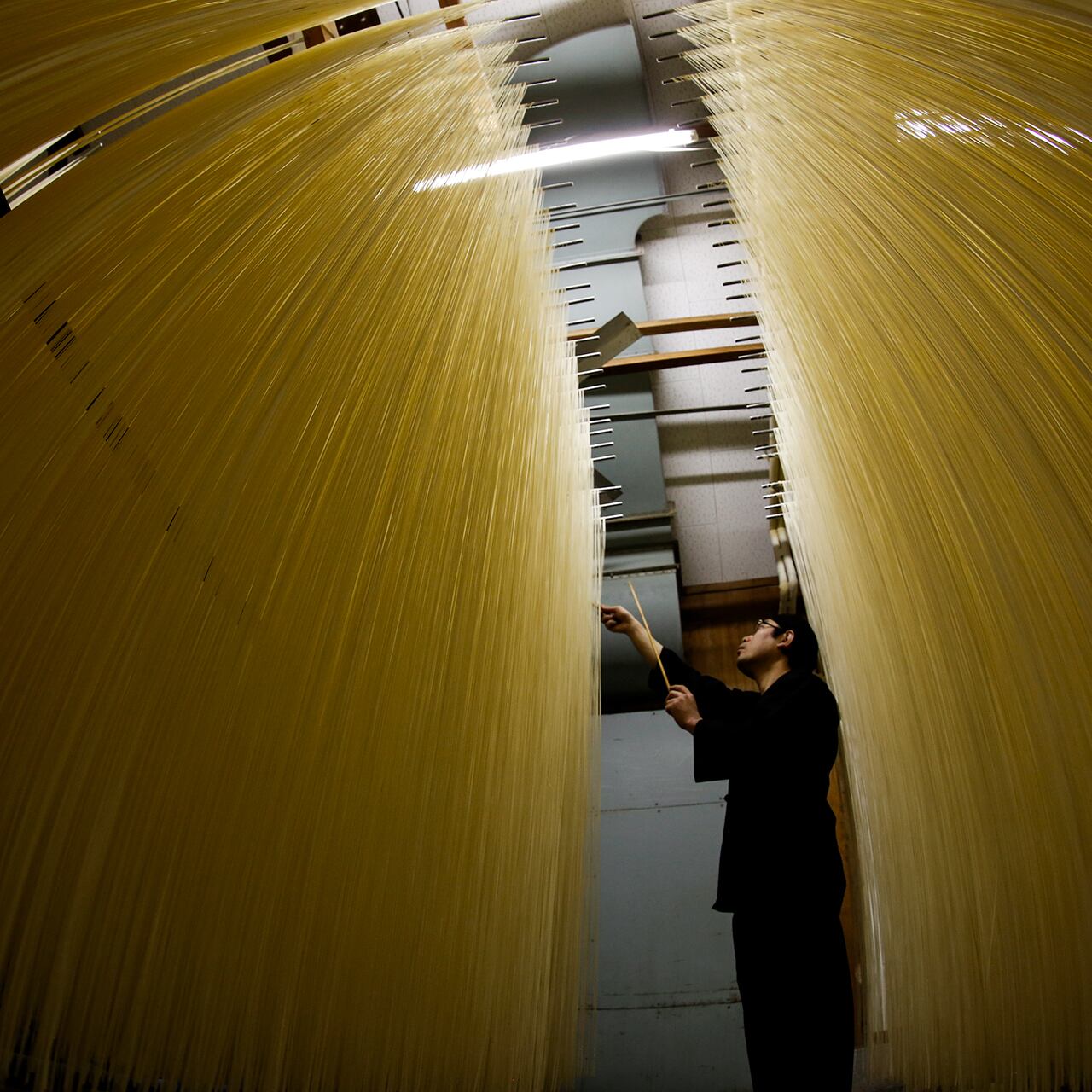 極味 手延べそうめん 5kg | 池田製麺工房