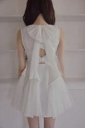 Back ribbon tulle dress