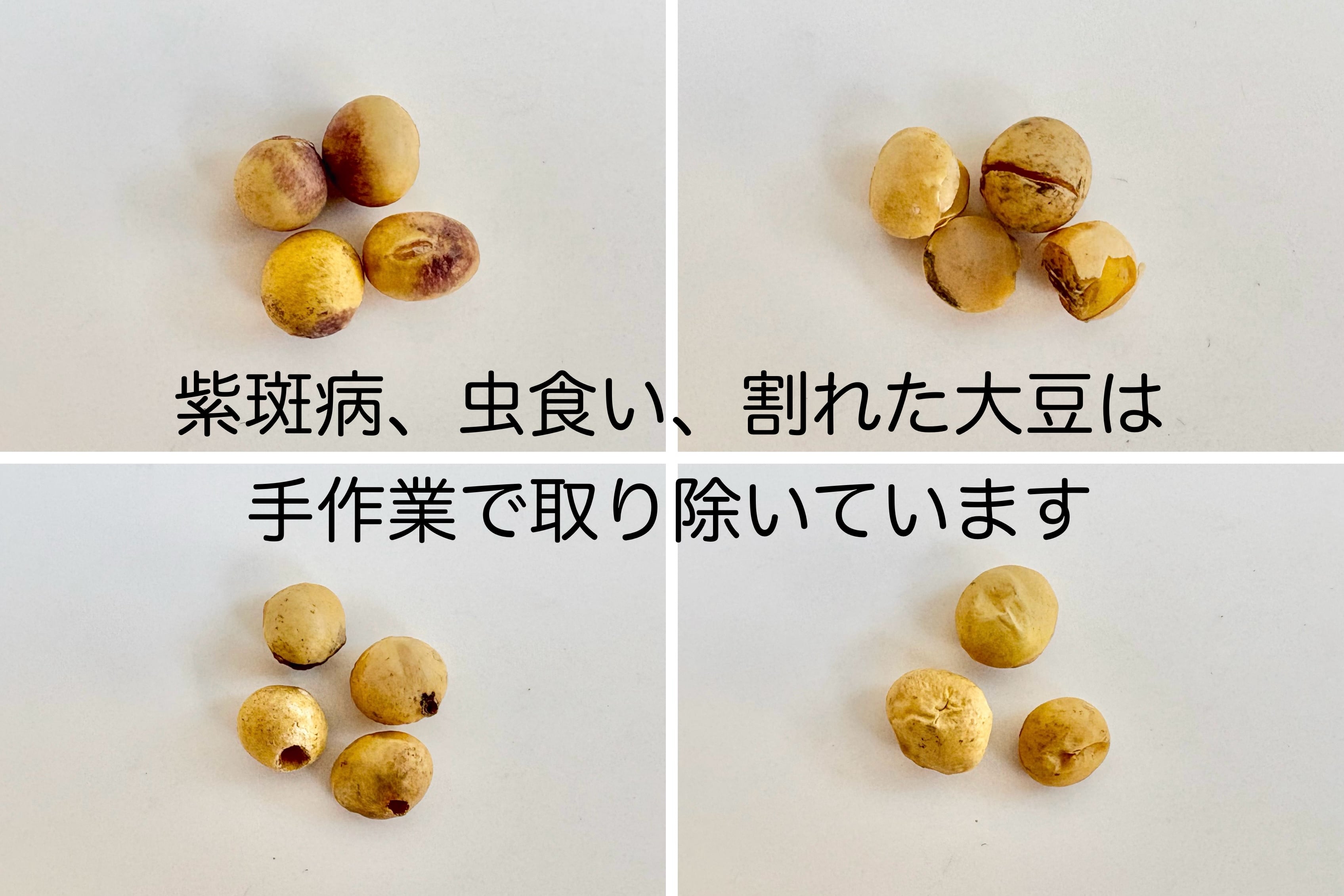 手作り味噌セット 仕上がり量 約5kg ※容器は別途ご用意ください | 麹と