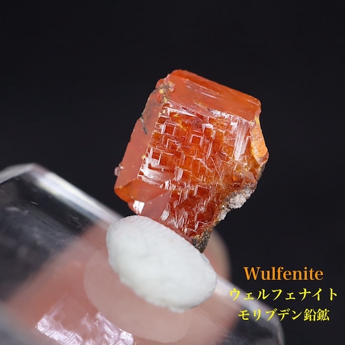 モリブデン鉛鉱 ウェルフェナイト  1.1g WF138 天然石 鉱物 原石