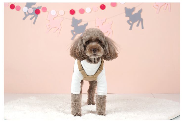 コールテンオーバーオール S ~ XL 2color / 犬服 ドッグウェア 犬の服 小型犬 中型犬