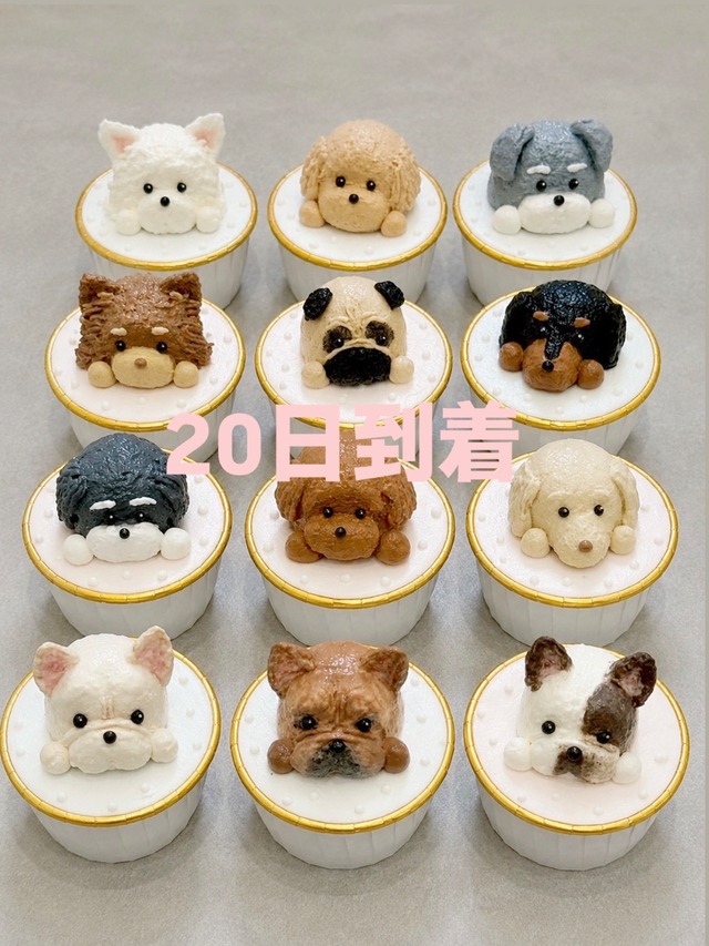 9月20日お届け【冷凍発送】オーダーカップケーキ