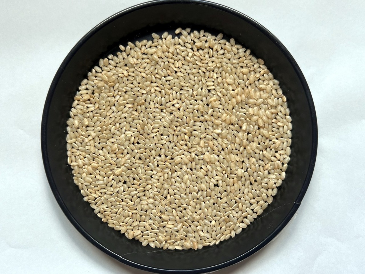 【令和8年産・今季限り】有機玄米10kg ミルキークイーン ※胴割れロット特別価格