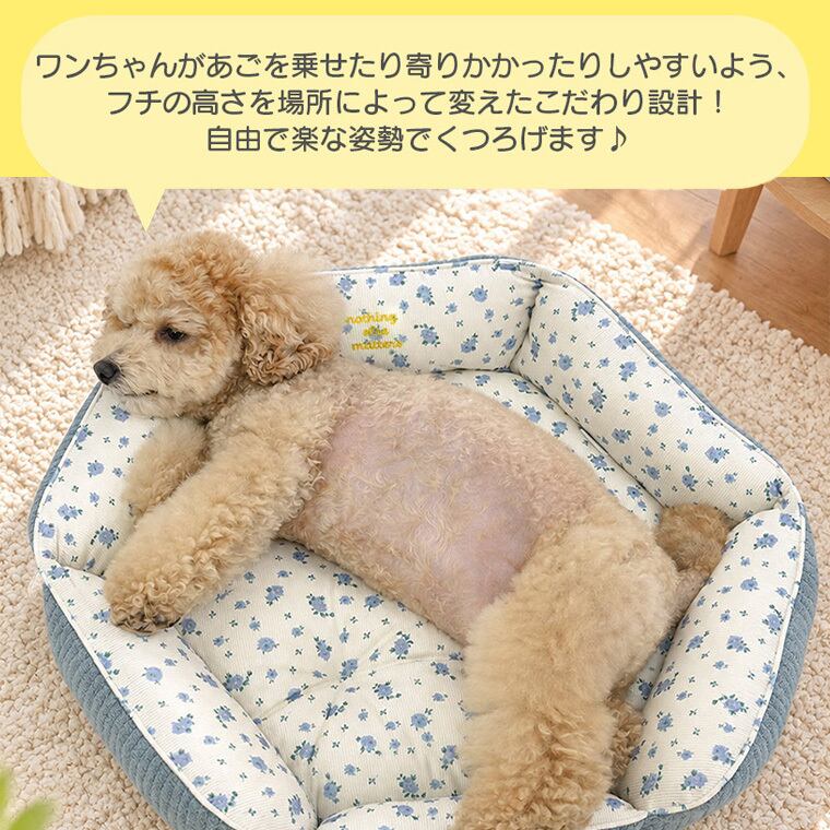 【予約販売10%OFF】jelly bear reversible bed 2color / 犬用 ベッド リバーシブル 両面 ふんわり 冬 可愛い クッション ペットマット 猫用 韓国 ペット用品 小型犬 中型犬 ハウス 高級 犬 ペットベッド