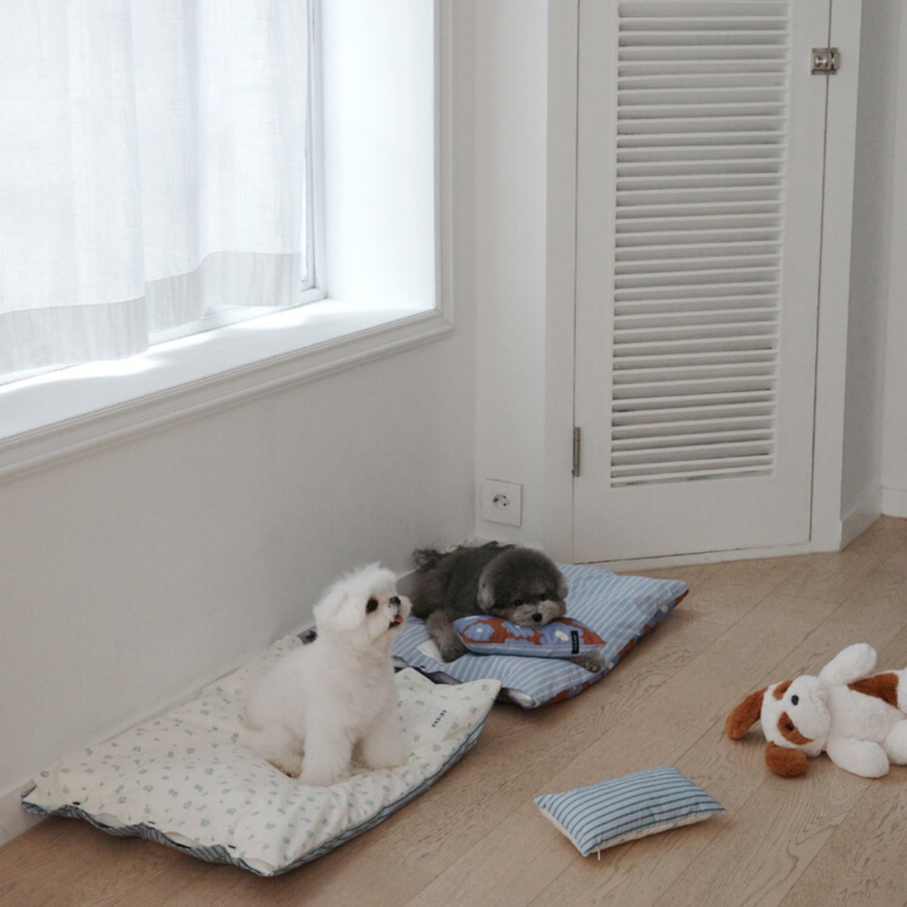 【予約】[ OHDIBS ] Homey Warmy Topper - Full Layer Set｜NO.1 - 3