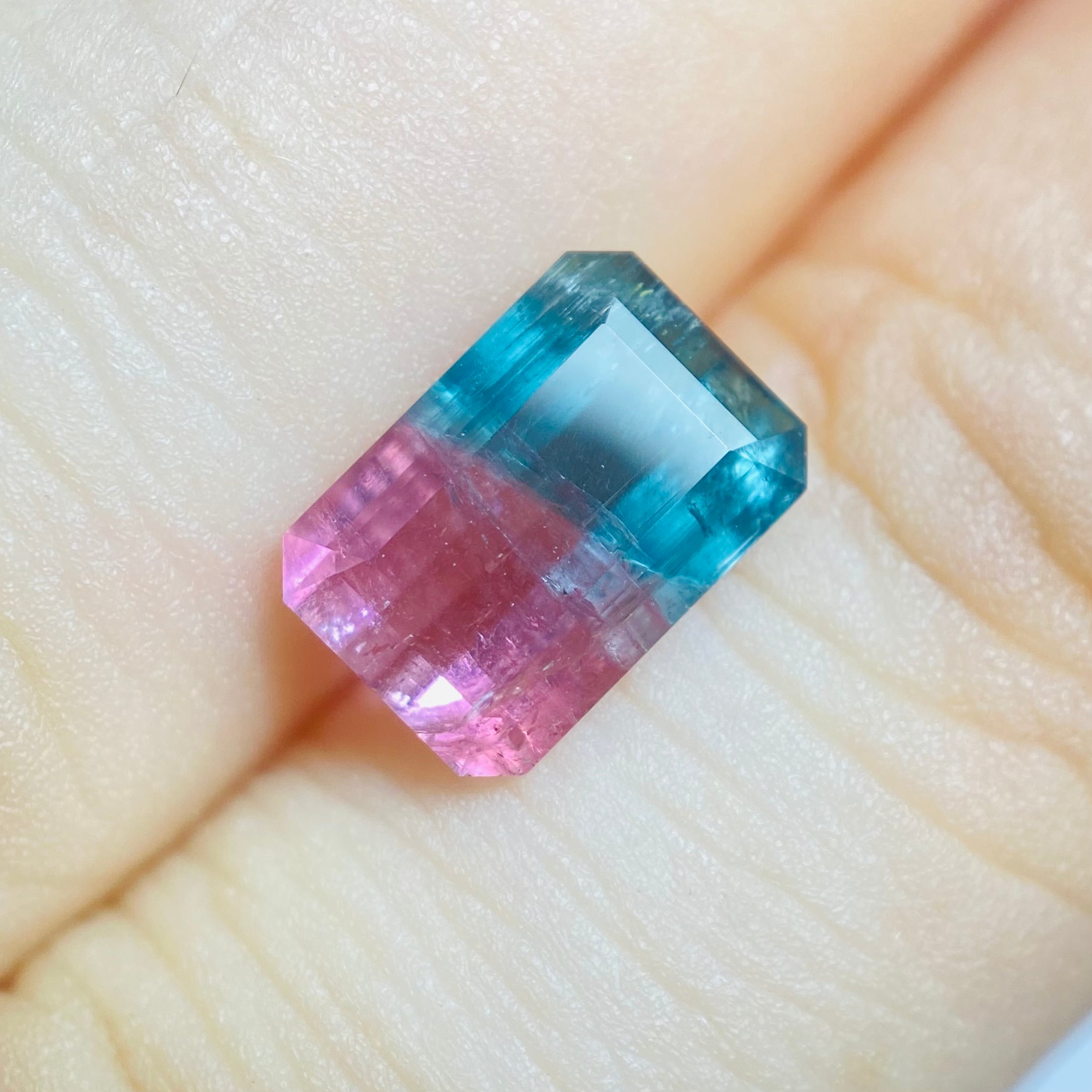 南の海の中 バイカラートルマリン | FER