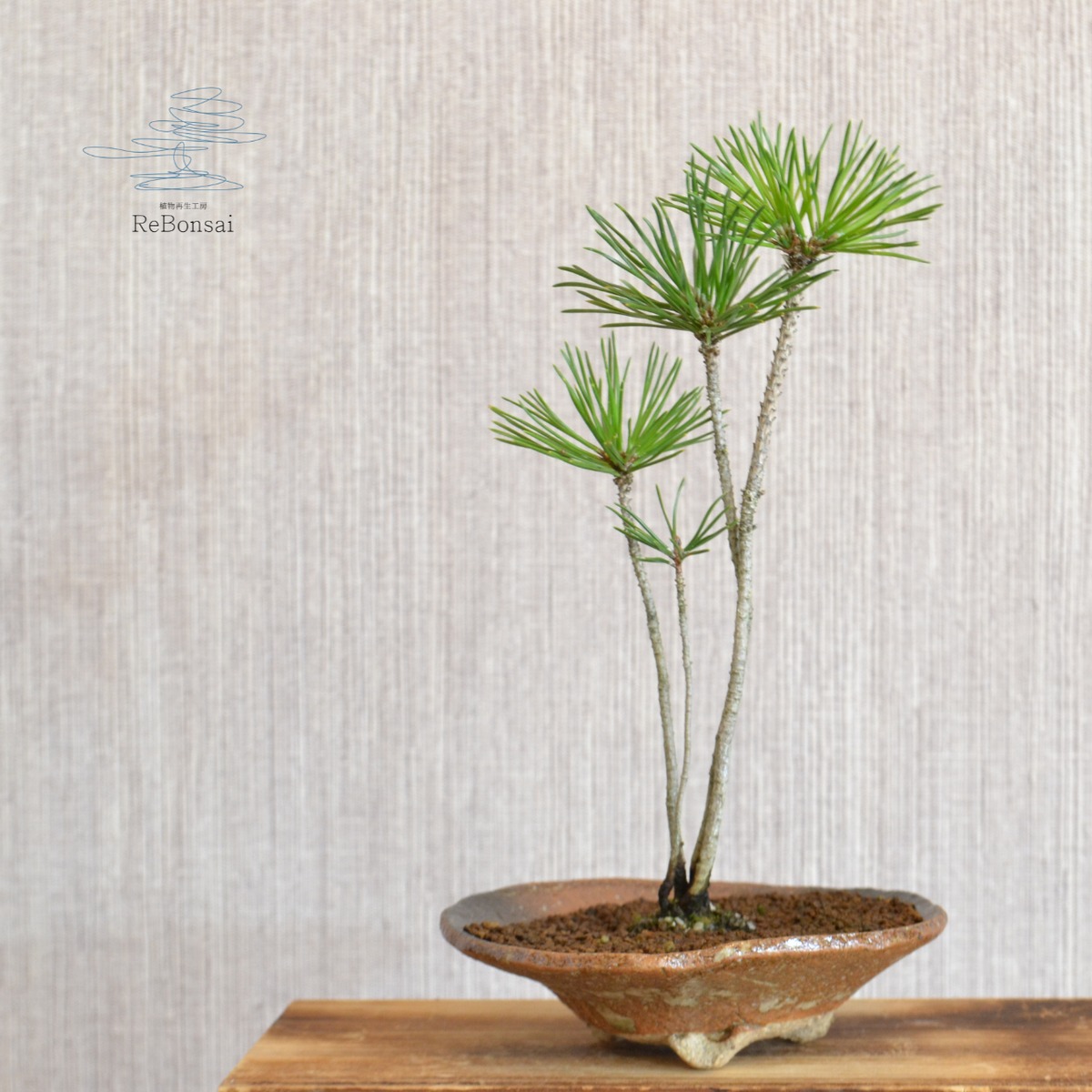 6b505695c734f2c2c1217736f8d722