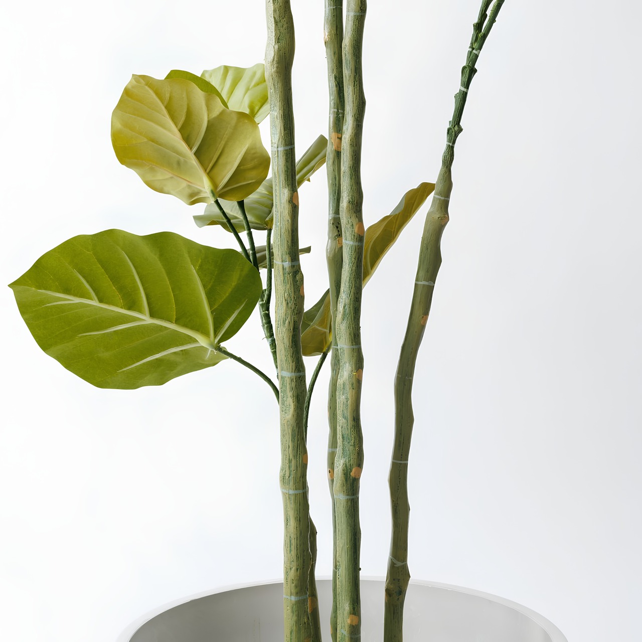 ウンベラータ 165㎝［人工観葉植物・フェイクグリーンT］