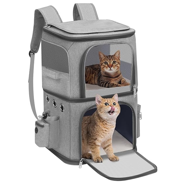 THE DOG ザドッグ ⑤ 18個まとめ売り バラ売り可 m33919044400_1.jpg?1749050822