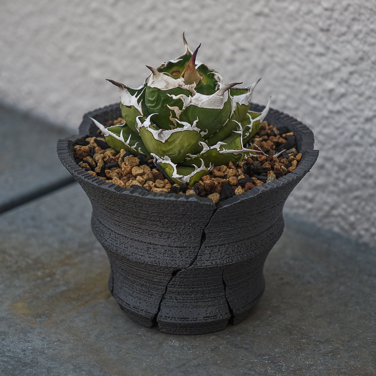 クラックスリット鉢 G 大鉢 (15cm) | Green Mountain Store