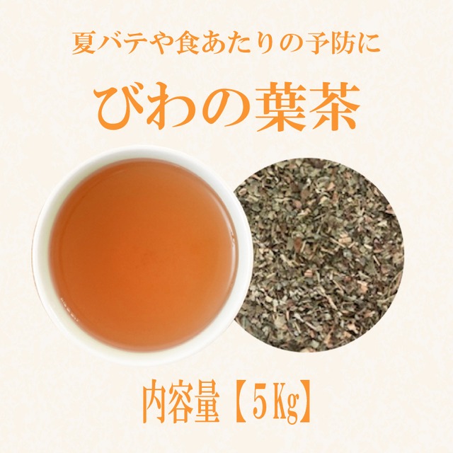 びわの葉茶(中国産)：5kg