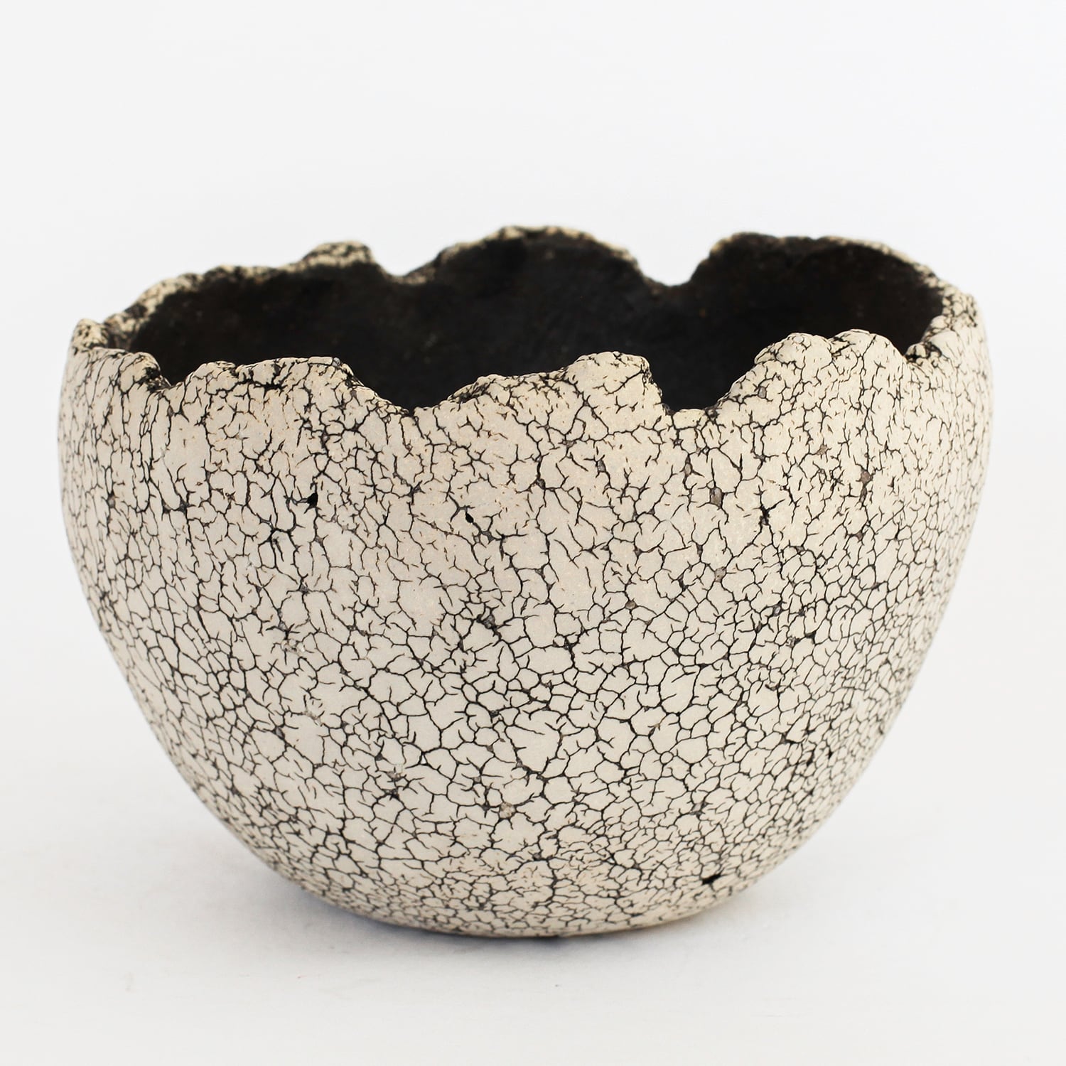 中根楽(gaku nakane) | amane-official