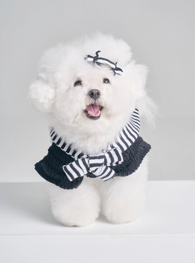 〈 予約アイテム 〉BOOCCE / LOVE BLOUSE（ブラック）