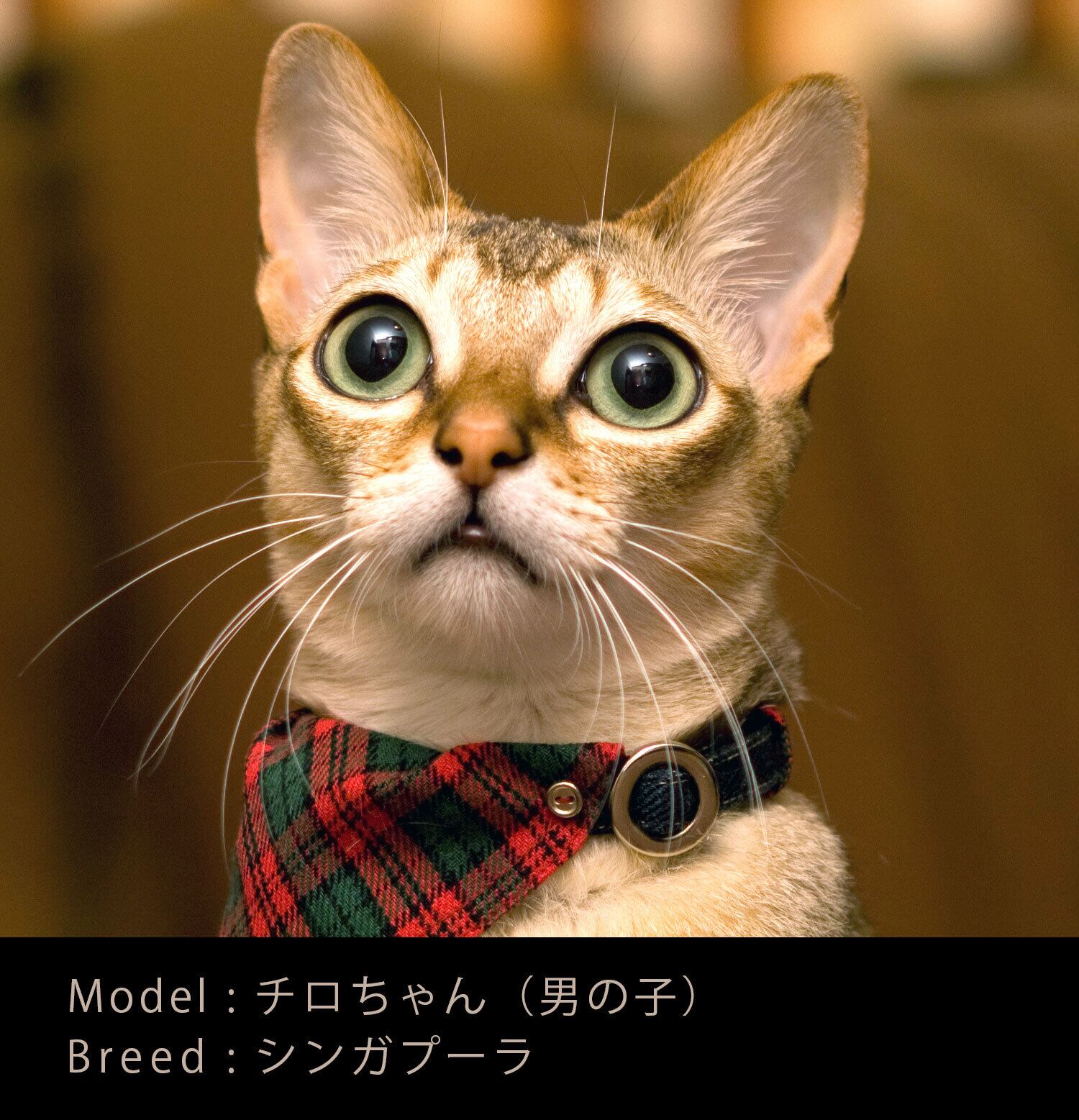 おしゃまなうちの子』イラスト原画/つけペン画 A5 サイズ 210 mm x 148