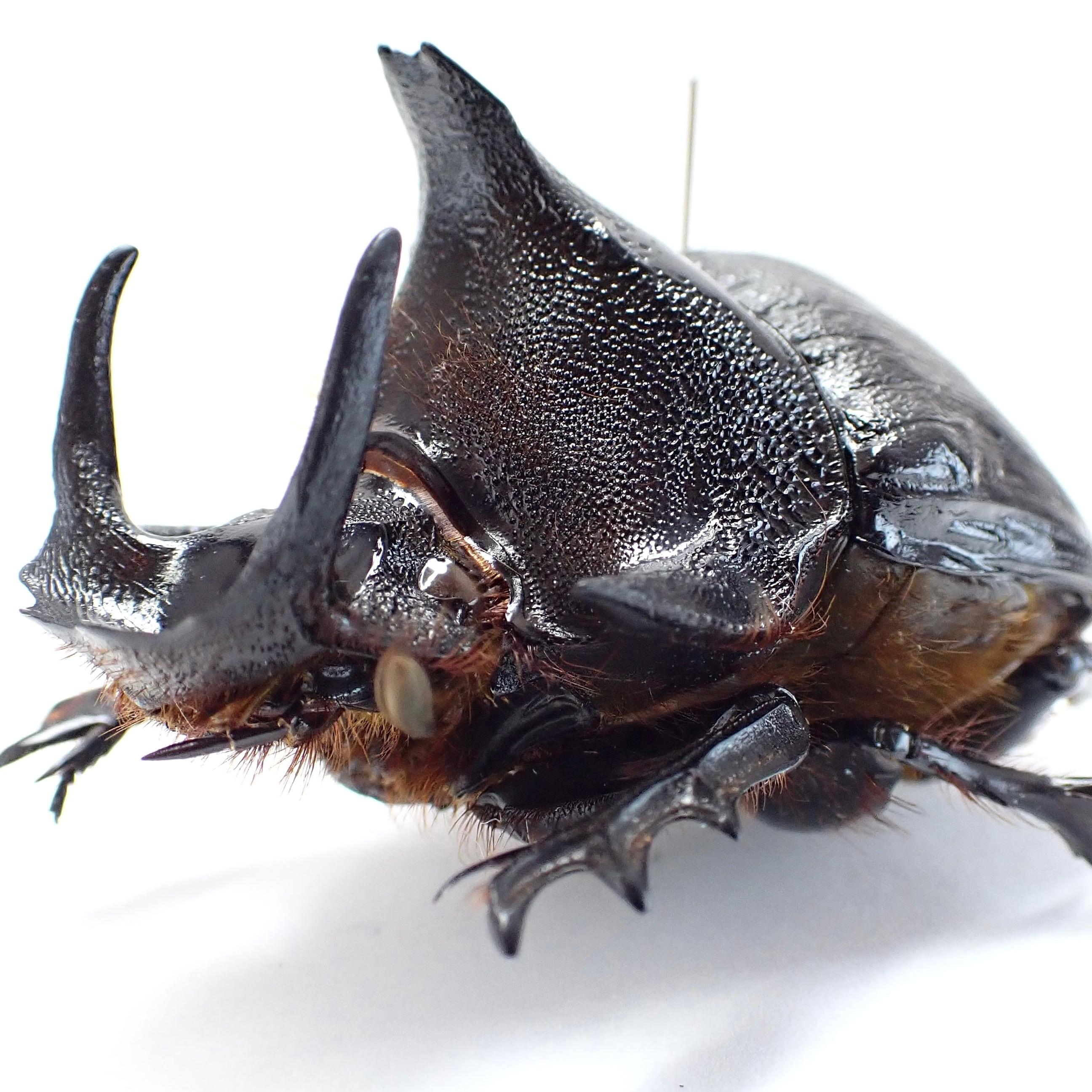 6b599aa58aac8e7803fe07d1f2288f