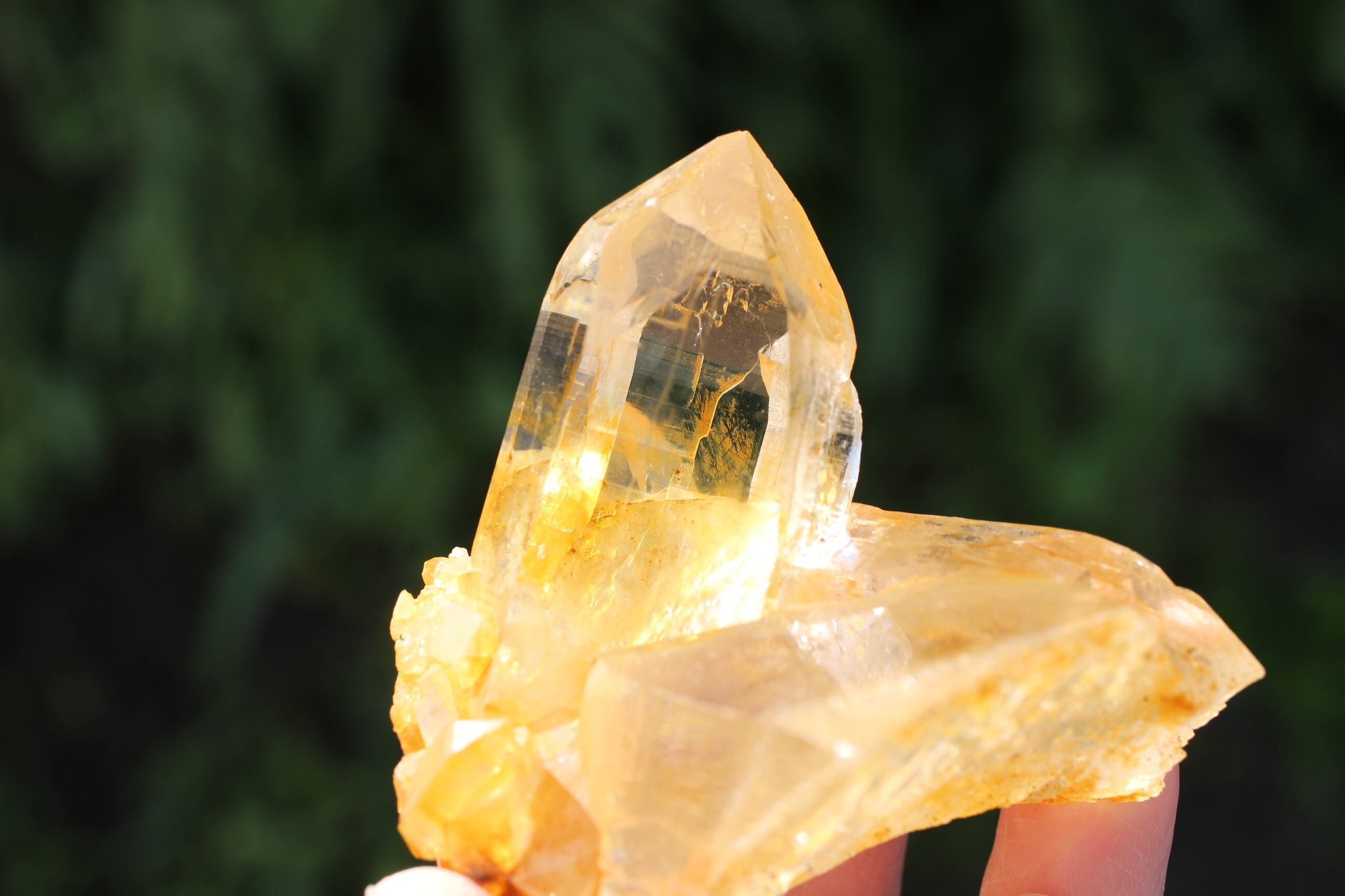 【長寿・繁栄】ヒマラヤ産⭐️水晶九狐カービング・ゴールデンヒーラー　R126 ヒマラヤ水晶 ガネーシュヒマール産 ゴールデンヒーラー | 石垣島の