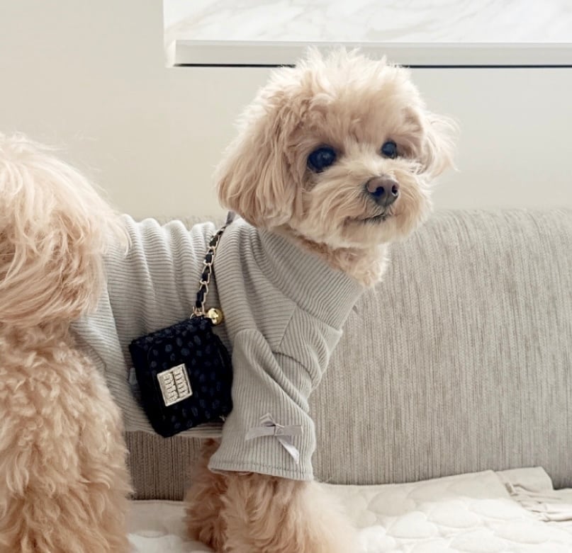 ビジュつき3カラー斜め掛けバック