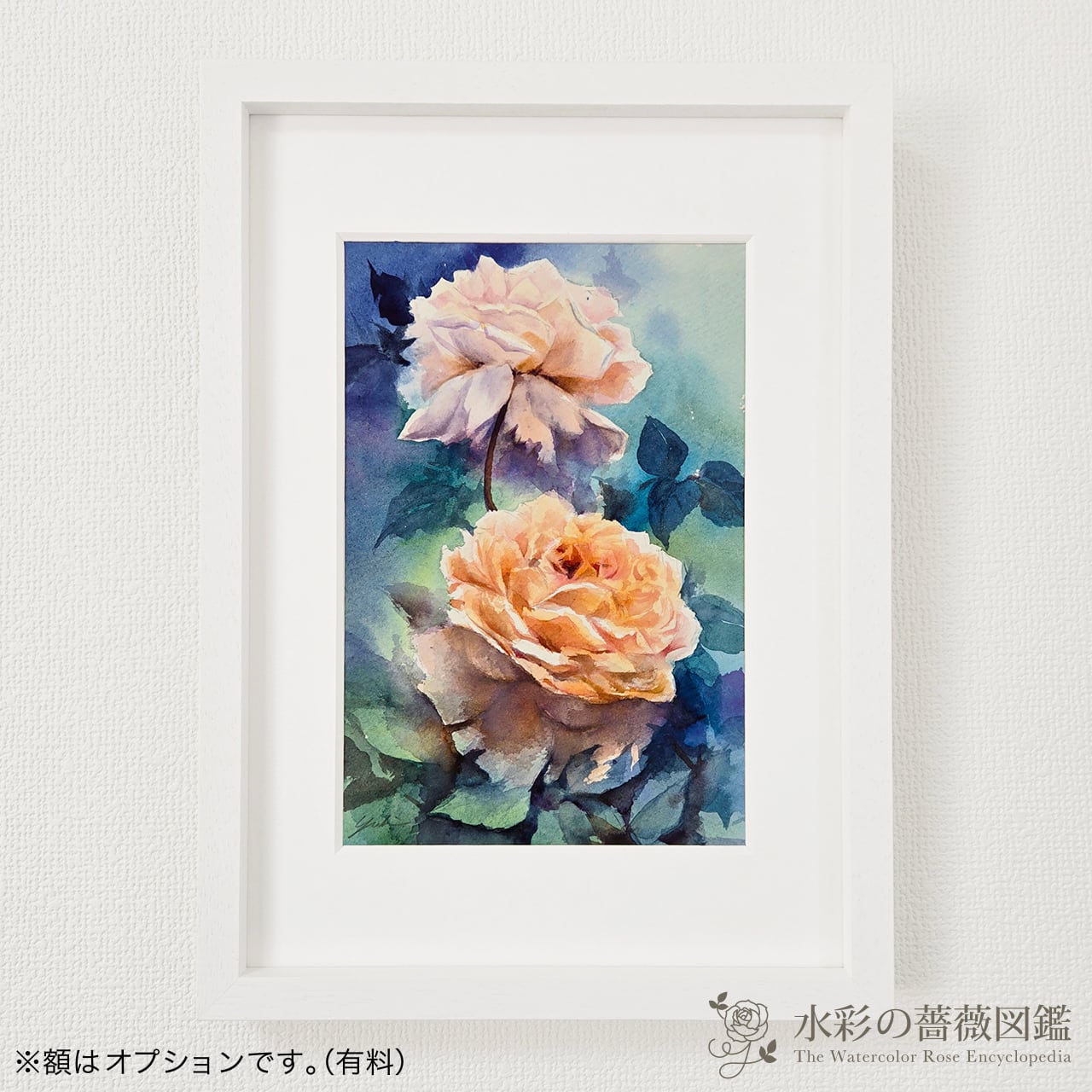 バラの水彩画 額無しです バラの水彩画 額無しです 【公式通販】