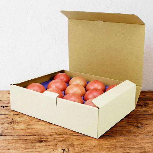 孫トマト 2kg【季節限定販売】贈答用