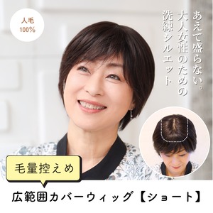 人毛100％ 広範囲カバーウィッグ【毛量控えめタイプ】  ショート用  (大きめ12×16cm)  部分ウィッグ 自然な薄毛・白髪隠し ヘアピース