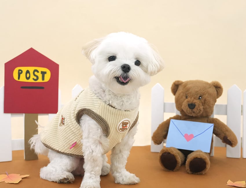 bear corduroy vest S ~ XL 2color / 犬服 秋冬 新作 コーデュロイ ベスト アウター ベロア 裏地 暖かい 可愛い 犬の服 トップス お揃い ドッグウェア