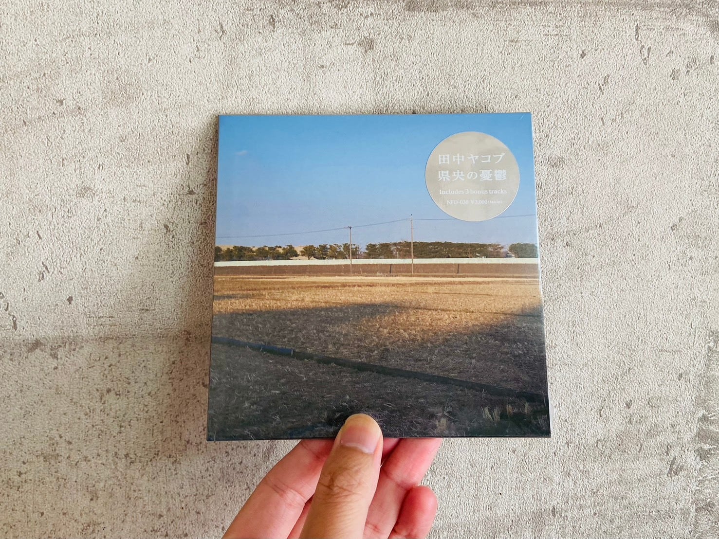 CD 田中ヤコブ / 県央の憂鬱 | HOLIDAY! RECORDS DISTRO