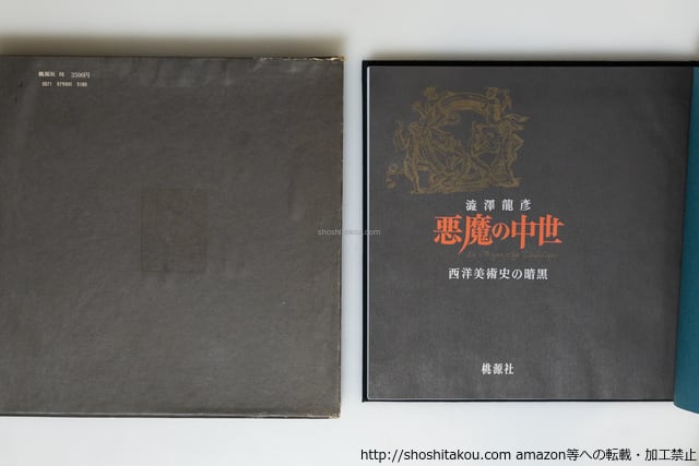 悪魔の中世 西洋美術史の暗黒 / 澁澤龍彦 [39812][並下] | 書肆田高