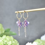 雨待ちの紫陽花