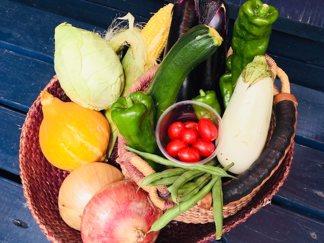 【お得な定期便10%off】全国からの取り寄せ野菜詰合せ（2-3人分）