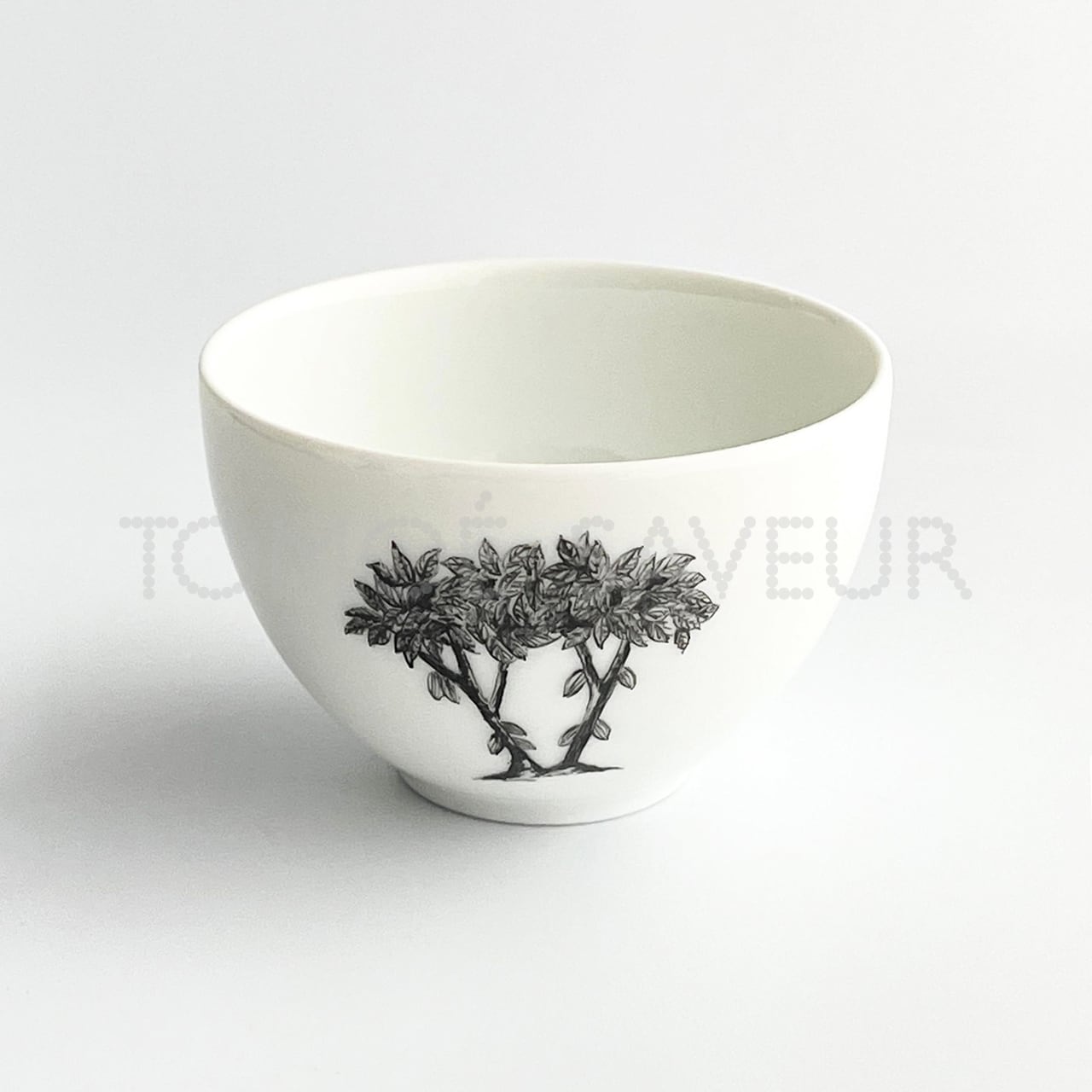 タッセカカオ カカオツリー〈エリタージュ〉