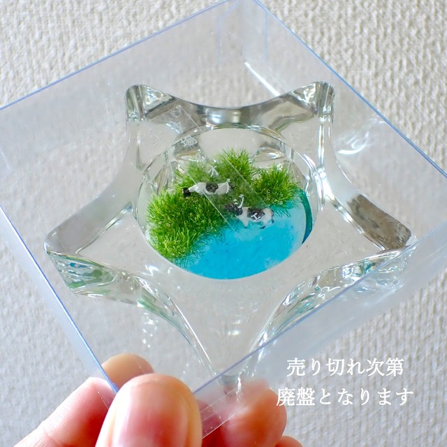 ※出店先のみで販売