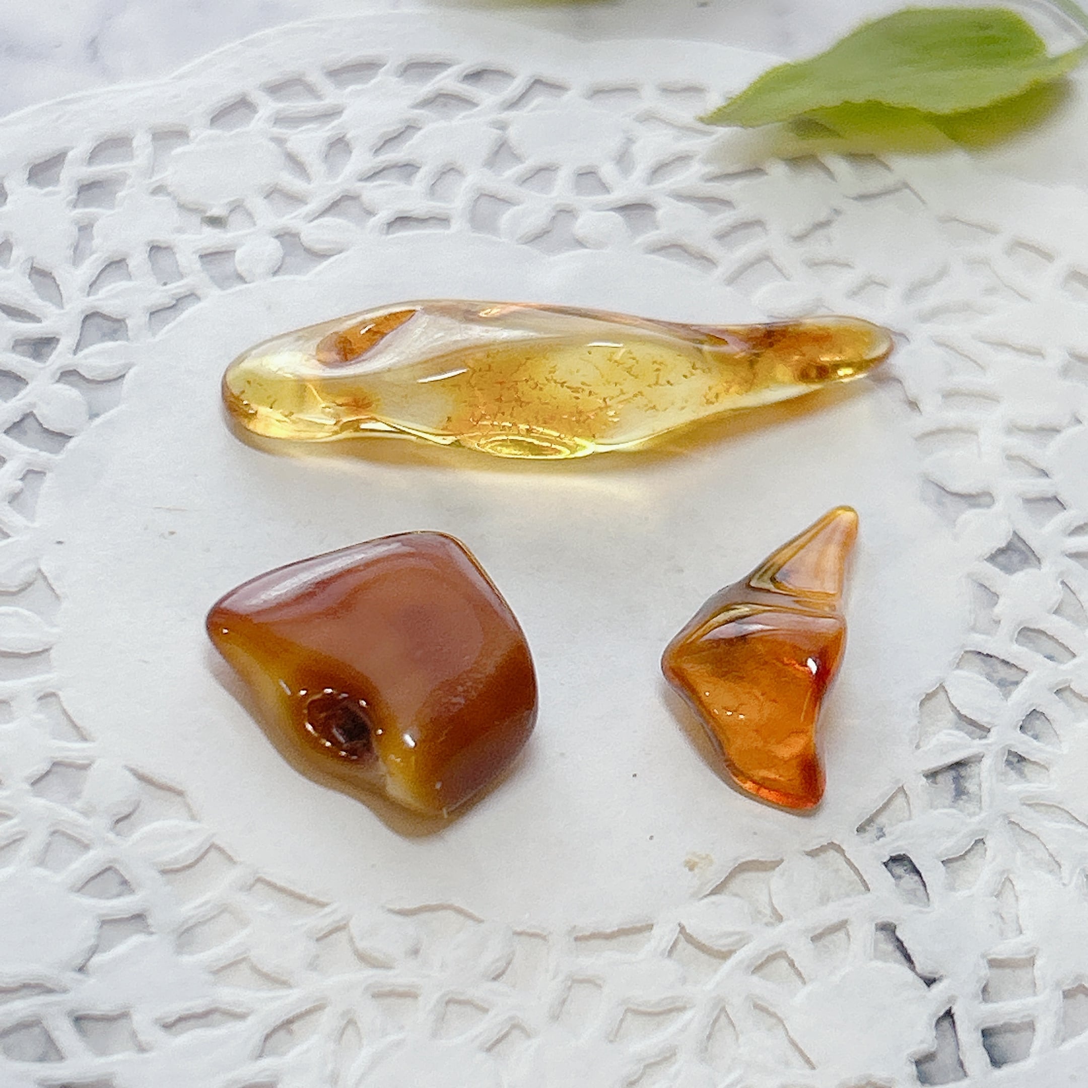 化石]琥珀・アンバー | クリスタル・ワールド御徒町店