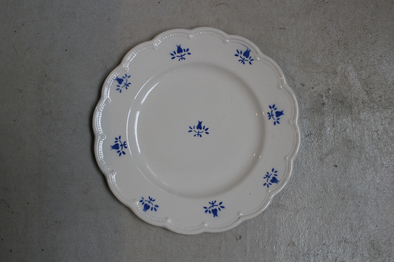 BOCH＿desert plate - 2