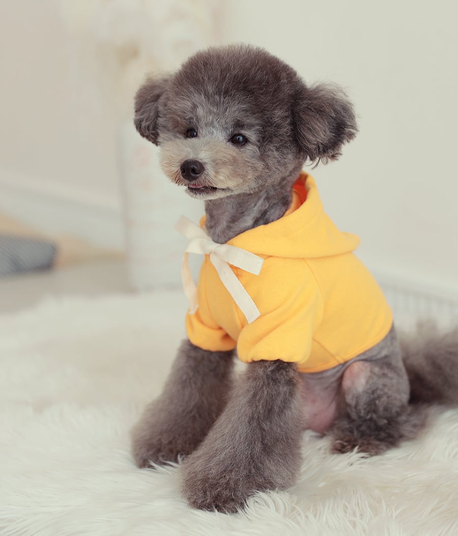 nagrang crop hood S ～ XL 4color / 犬服 秋冬 ショート丈 パーカー フード おパンツカット 無地 シンプル ドッグウェア 小型犬 中型犬 お揃い お出かけ 韓国ワンコ服