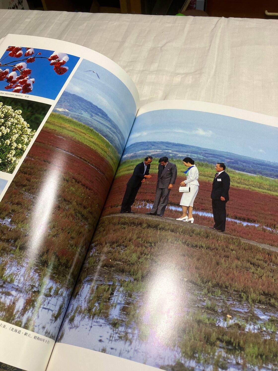 お安くしました、昭和天皇のお写真、「天皇陛下と山野草」昭和天皇から 