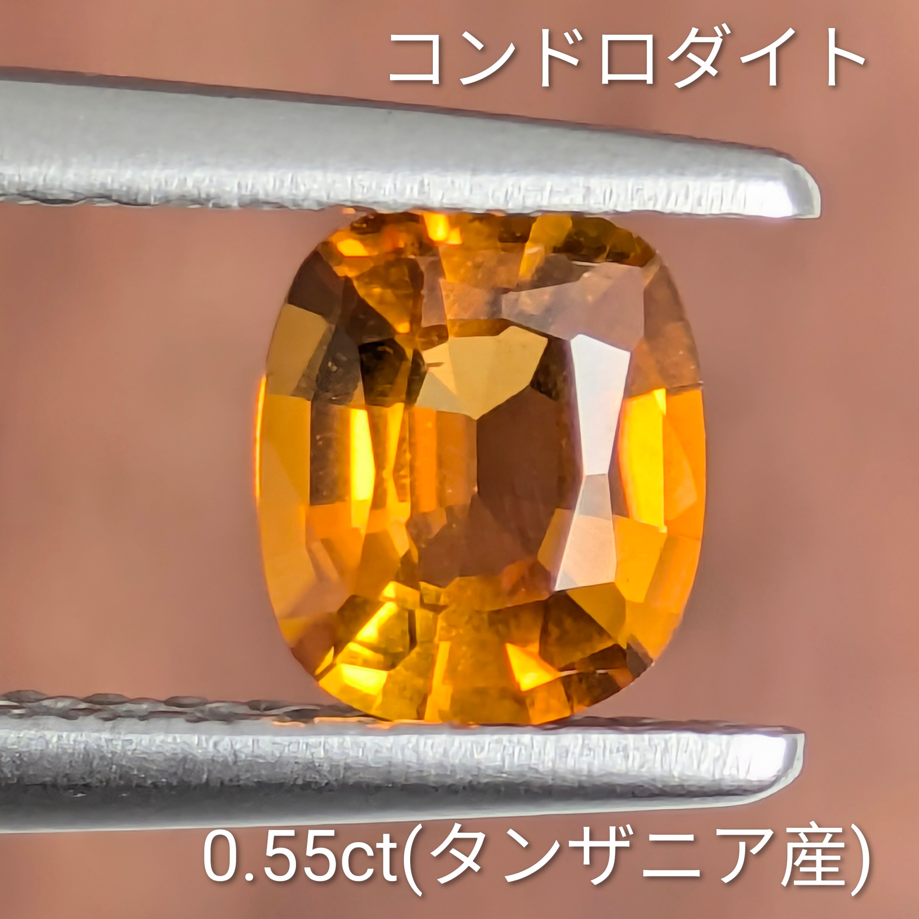 コンドロダイトルース タンザニア産【0.55ct】 PRO208680 | Gem's