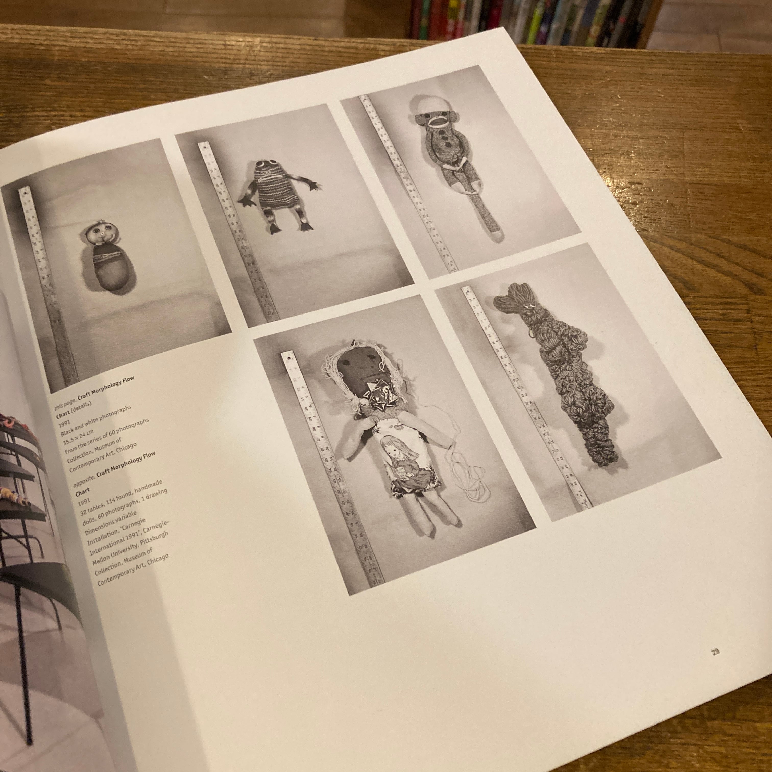 専用　Mike Kelley (Phaidon Artists Series) Mike Kelley: contemporary artists series / マイク・ケリー | 百年